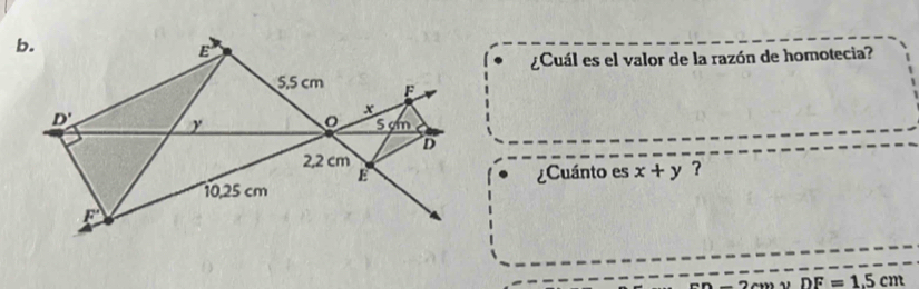 ¿Cuál es el valor de la razón de homotecia?
¿Cuánto es x+y ?
DF=1.5cm