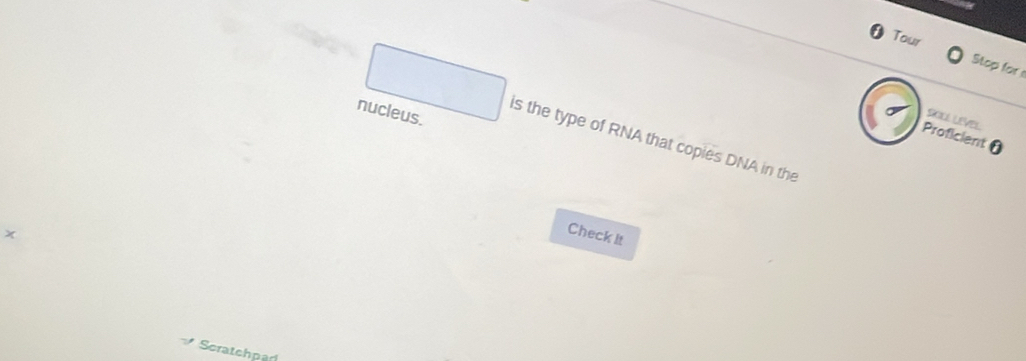 Tour Stop for 
nucleus. 
SOCL LEver 
Proficient θ 
is the type of RNA that copies DNA in the
x
Check it 
Scratchpar