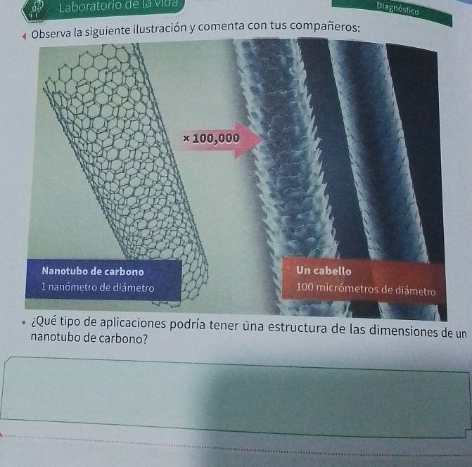 Laboratorio de la vida
Diagnóstico
te ilustración y comenta con tus compañeros:
¿Qué tipo de aplicaciones podría tener ùna estructura de las dimensiones de un
nanotubo de carbono?