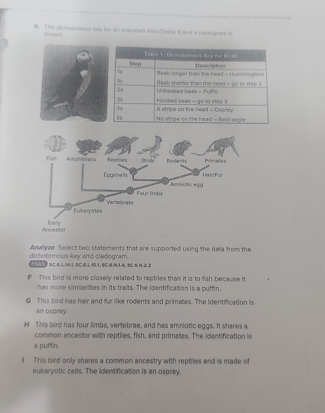 The dichotomous key for an unknown bird (Table 1) and a cladogram is
shown.
Analyze Select two statements that are supported using the data from the
dichotomous key and cladogram.
50 SC.6.L. 14.1. SC.6.L. 15.1, SC.6.N. 1.4, SC.6.N. 2.2
F This bird is more closely related to reptiles than it is to fish because it
has more similarities in its traits. The identification is a puffin.
G This bird has hair and fur like rodents and primates. The identification is
an osprey.
H This bird has four limbs, vertebrae, and has amniotic eggs. It shares a
common ancestor with reptiles, fish, and primates. The identification is
a puffin.
I This bird only shares a common ancestry with reptiles and is made of
eukaryotic cells. The identification is an osprey.