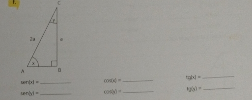 cos (x)=
tg(x)= _
tg(y)= _
_ sen (y)=
_ cos (y)=