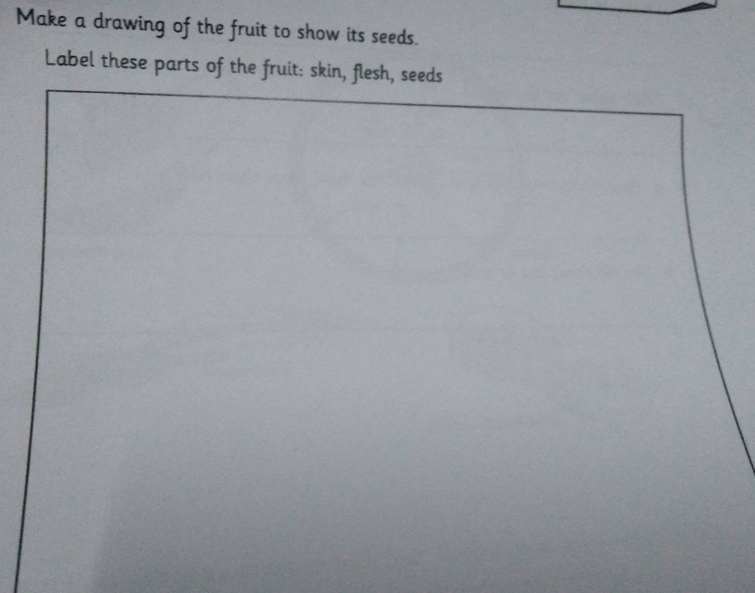 Make a drawing of the fruit to show its seeds. 
Label these parts of the fruit: skin, flesh, seeds