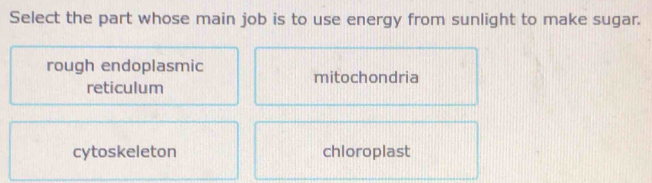 Select the part whose main job is to use energy from sunlight to make sugar.
rough endoplasmic
mitochondria
reticulum
cytoskeleton chloroplast