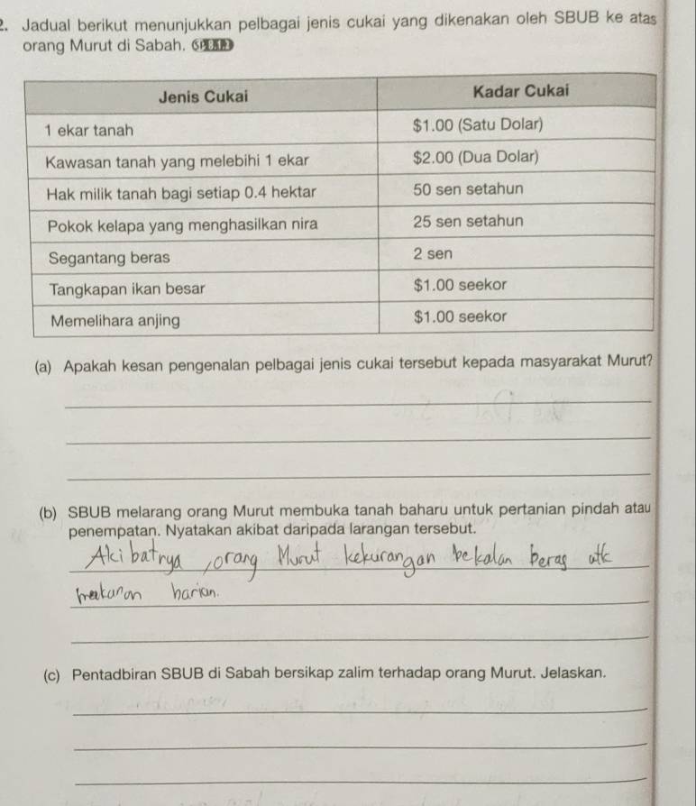 Jadual berikut menunjukkan pelbagai jenis cukai yang dikenakan oleh SBUB ke atas 
orang Murut di Sabah. 
(a) Apakah kesan pengenalan pelbagai jenis cukai tersebut kepada masyarakat Murut? 
_ 
_ 
_ 
(b) SBUB melarang orang Murut membuka tanah baharu untuk pertanian pindah atau 
penempatan. Nyatakan akibat daripada larangan tersebut. 
_ 
_ 
_ 
(c) Pentadbiran SBUB di Sabah bersikap zalim terhadap orang Murut. Jelaskan. 
_ 
_ 
_