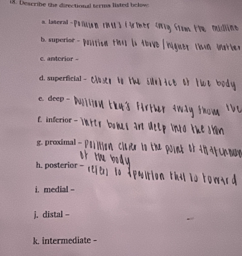 Describe the directional terms listed below 
a. lateral 
b. superior - 
c. anterior - 
d. superficial - 
e. deep - 
f. inferior - 
g. proximal - 
h. posterior - 
i. medial - 
j. distal - 
k. intermediate -