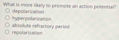 What is more likely to promote an action potential?
depolarization
hyperpolarization
absolute refractory period
repolarization