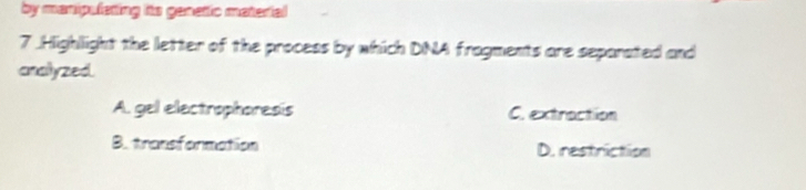 by manipulating its genetic material
7 .Highlight the letter of the process by which DNA fragments are separated and
analyzed.
A. gel electrophoresis C. extraction
B. transformation D. restriction