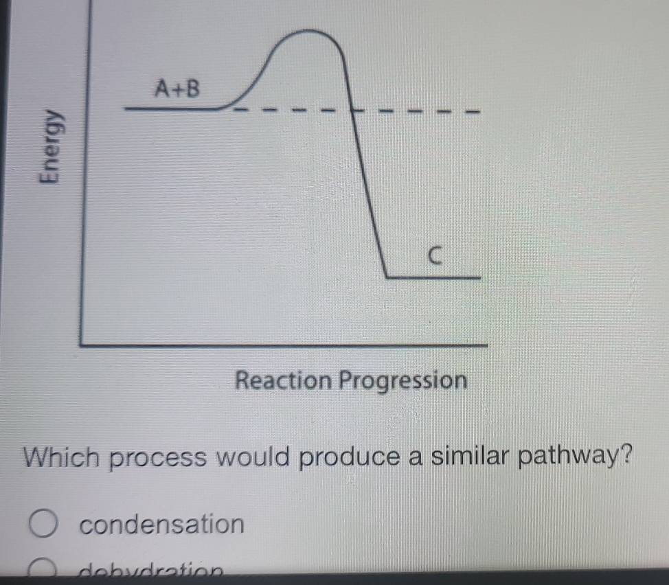 Solved: Reaction Progression Which process would produce a similar ...