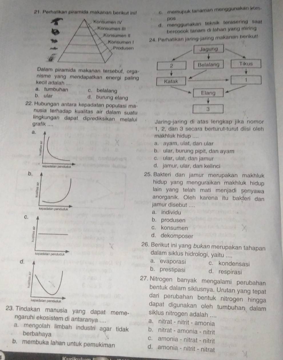 Perhatikan piramida makanan berikut ini! c. memupuk tanaman menggunakan kom
Konsumen IV pos
d. menggunakan teknik terasering saat
Konsumen III
bercocok tanam di lahan yang miring
Konsumen II
Konsumen I 24. Perhatikan jaring-jaring makanan berikut!
Produsen
Jagung
2 Belalang Tikus
Dalam piramida makanan tersebuf, orga-
nisme yang mendapatkan energi paling
kecil adalah .... Katak
1
a. tumbuhan c. belalang
Elang
b. ular d. burung elang
22. Hubungan antara kepadatan populasi ma-
nusia terhadap kualitas air dalam suatu
3
lingkungan dapat diprediksikan melalui
grafik .... Jaring-jaring di atas lengkap jika nomor
1, 2, dan 3 secara berturut-turut diisi oleh
a
makhluk hidup ....
a. ayam, ulat, dan ular
b. ular, burung pipit, dan ayam
c. ular, ulat, dan jamur
d. jamur, ular, dan kelinci
b 25. Bakteri dan jamur merupakan makhluk
hidup yang menguraikan makhluk hidup 
lain yang telah mati menjadi senyawa
anorganik. Oleh karena itu bakteri dan
jamur disebut ....
a. individu
C b. produsen
c. konsumen
d. dekomposer
26. Berikut ini yang bukan merupakan tahapan
dalam siklus hidrologi, yaitu ....
d. a. evaporasi c. kondensasi
b. prestipasi d. respirasi
%
27. Nitrogen banyak mengalami perubahan
bentuk dalam siklusnya. Urutan yang tepat
dari perubahan bentuk nitrogen hingga
kepadatan penduduk dapat digunakan oleh tumbuhan dalam
23. Tindakan manusia yang dapat meme- siklus nitrogen adalah ....
ngaruhi ekosistem di antaranya .... a. nitrat - nitrit - amonia
a. mengolah limbah industri agar tidak b. nitrat - amonia - nitrit
berbahaya c. amonia - nitrat - nitrit
b. membuka lahan untuk pemukiman d. amonia - nitrit - nitrat