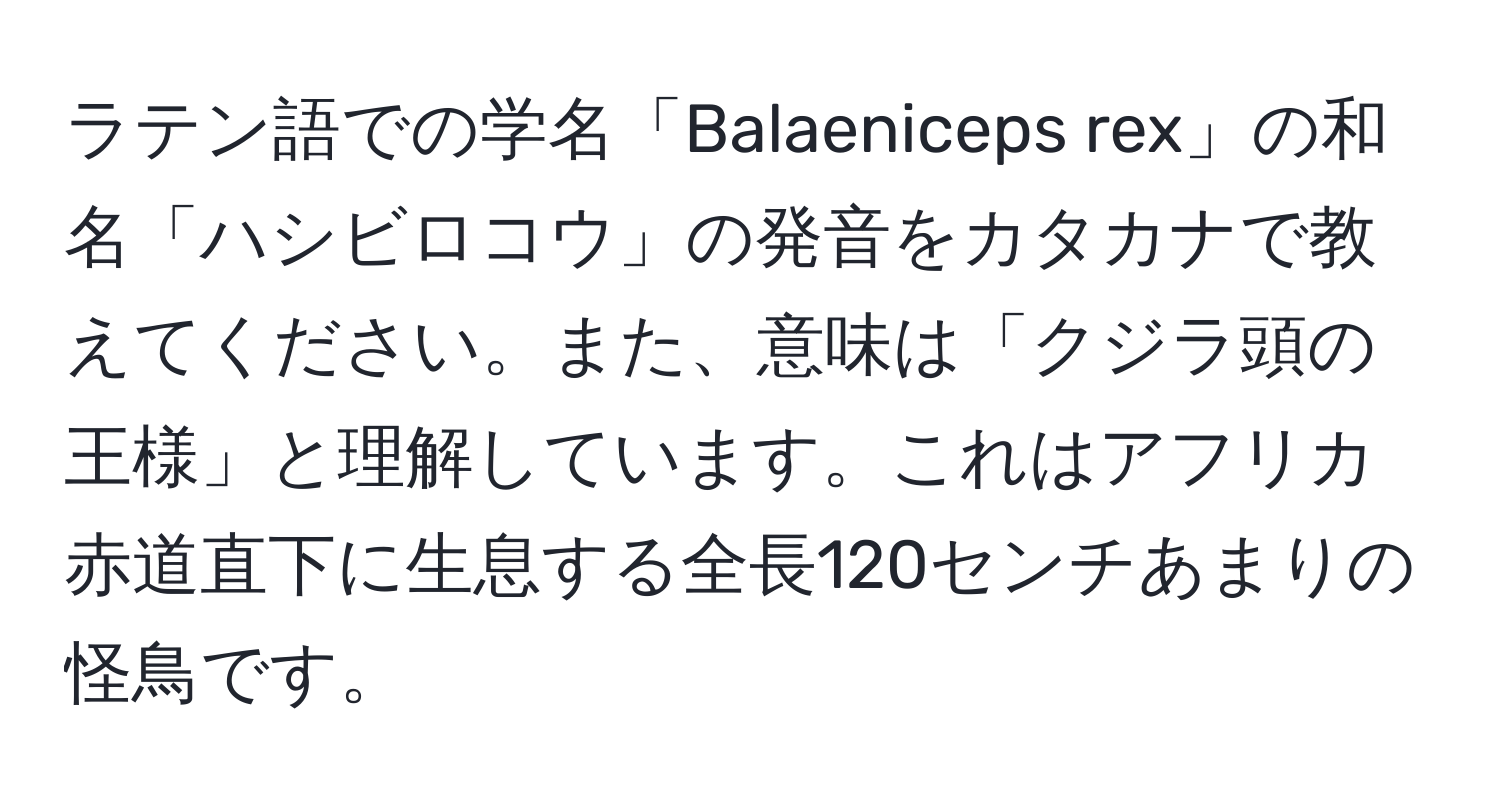 ラテン語での学名「Balaeniceps rex」の和名「ハシビロコウ」の発音をカタカナで教えてください。また、意味は「クジラ頭の王様」と理解しています。これはアフリカ赤道直下に生息する全長120センチあまりの怪鳥です。