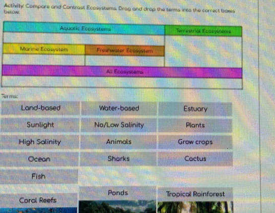 Activity Compare and Contrast Ecasystems. Drag and drop the tems into the correct baxes 
below 
T 
Fish 
Ponds Tropical Rainforest 
Caral Reefs