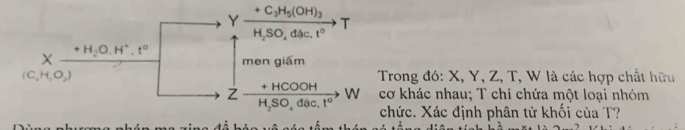 +C_3H_5(OH)_3
T 
HạSO đặc, t°
X +H_2O.H^+.t^0
men giấm
(C_4H,O_2) Trong đó: X, Y, Z, T, W là các hợp chất hữu 
+ HCOOH W 
Z H_2SO_4dac.t° cơ khác nhau; T chỉ chứa một loại nhóm 
chức. Xác định phân tử khối của T?