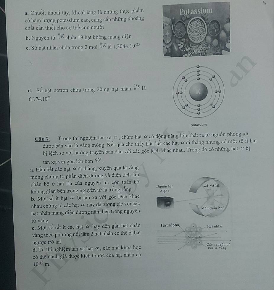a. Chuối, khoai tây, khoai lang là những thực phẩm
có hàm lượng potassium cao, cung cấp những khoáng
chất cần thiết cho cơ thể con người
b. Nguyên tử _(19)^(39)K chứa 19 hạt không mang điện
c. Số hạt nhân chứa trong 2 mol _(19)^(39)K_11,2044.10^(-23)
d. Số hạt notron chứa trong 20mg hạt nhân _(19)^(39)K_1hat a
6,174.10^(21)
Câu 7. Trong thí nghiệm tán xạ α , chùm hạt ∝ có động năng lớn phát ra từ nguồn phóng xạ
được bắn vào lá vàng mỏng. Kết quả cho thấy hầu hết các hạt ỡ đi thẳng nhưng có một số ít hạt
bị lệch so với hướng truyền ban đầu với các góc lệch khác nhau. Trong đó có những hạt & bị
tán xạ với góc lớn hơn 90°.
a. Hầu hết các hạt ơ đi thẳng, xuyên qua lá vàng
mỏng chứng tỏ phần điện dương và điện tích âm
phân bố ở hai rìa của nguyên tử, còn toàn bộ Lá vàng
không gian bên trong nguyên tử là trống rỗng Nguồn hạt Alpha
b. Một số ít hạt & bị tán xạ với góc lệch khác
nhau chứng tỏ các hạt ỡ này đã tương tác với các
Màn chấn ZnS
hạt nhân mang điện dương nằm bên trong nguyên
tử vàng
c. Một số rất ít các hạt & bay đến gần hạt nhân Hạt alpha Hạt nhần
vàng theo phương nối tâm 2 hạt nhân có thể bị bật
ngược trở lại Các nguyên tử
d. Từ thí nghiệm tán xạ hạt ơ , các nhà khoa học của lā vāng
có thể đánh giá được kích thước của hạt nhân cỡ
10^(-10)m.