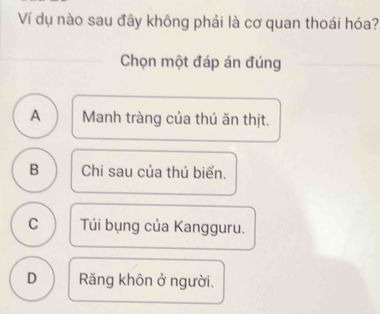 Ví dụ nào sau đây không phải là cơ quan thoái hóa?
Chọn một đáp án đúng
A Manh tràng của thú ăn thịt.
B Chi sau của thú biển.
C Túi bụng của Kangguru.
D ăng khôn ở người.