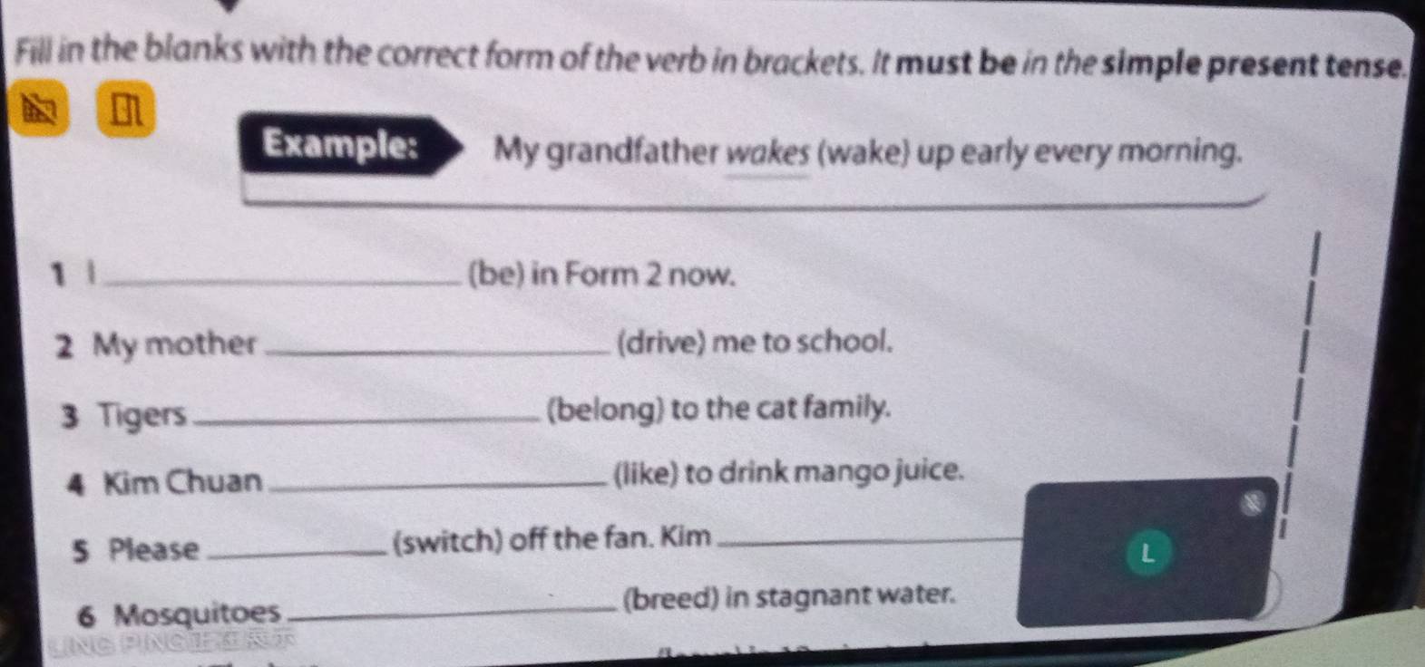 Fill in the blanks with the correct form of the verb in brackets. It must be in the simple present tense. 
Example: My grandfather wakes (wake) up early every morning. 
1 _(be) in Form 2 now. 
2 My mother _(drive) me to school. 
3 Tigers _(belong) to the cat family. 
4 Kim Chuan _(like) to drink mango juice. 
5 Please _(switch) off the fan. Kim_ 
L 
6 Mosquitoes _(breed) in stagnant water.