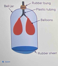 Rubber bung 
g 
Rubber sheet 
Q, Zoom