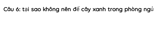 tại sao không nên để cây xanh trong phòng ngủ