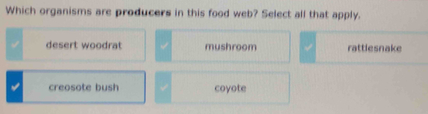 Which organisms are producers in this food web? Select all that apply.
desert woodrat mushroom rattlesnake
creosote bush coyote