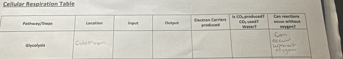 Cellular Respiration Table