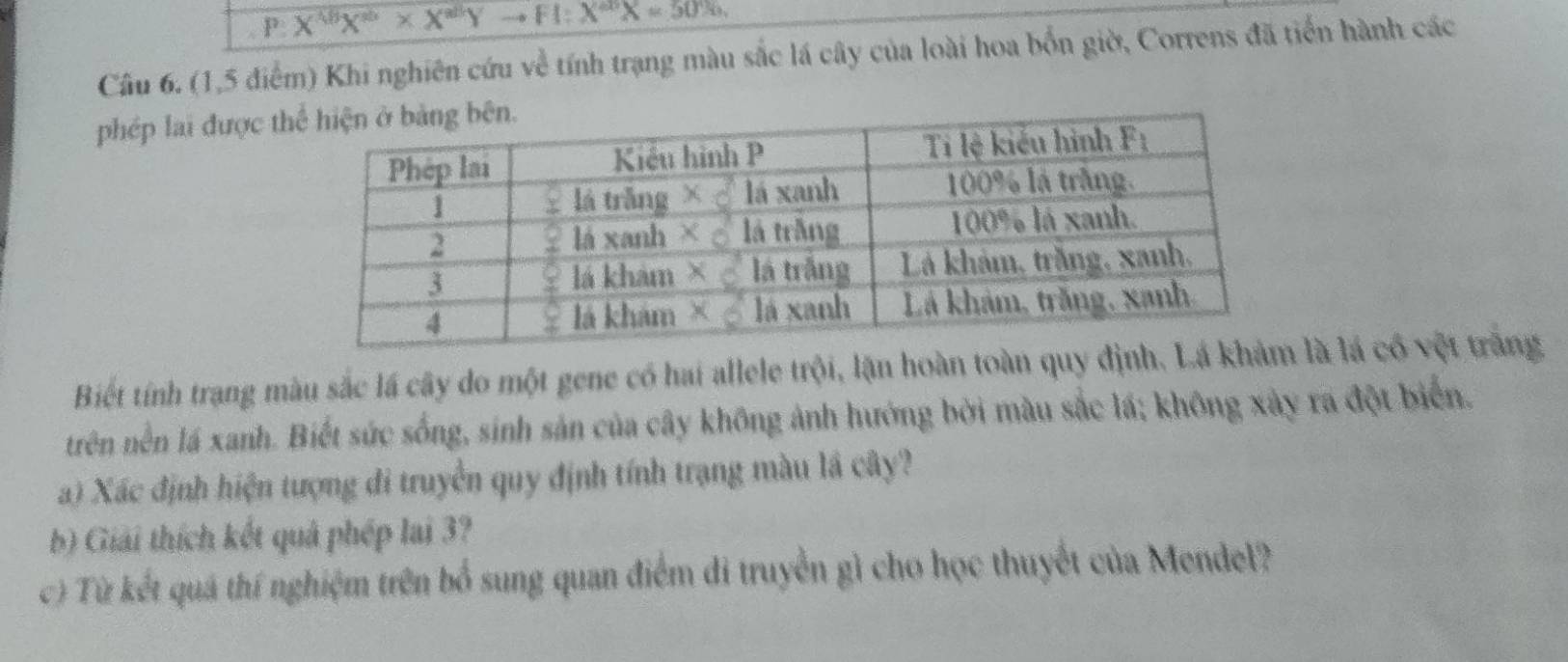 P:X^(48)X^(80)* X^(88)Yto FI:X^(80)X=50% , 
Câu 6. (1,5 điểm) Khi nghiên cứu về tính trạng màu sắc lá cây của loài hoa bốn giờ, Correns đã tiến hành các 
phép lai được t 
Biết tính trang màu sắc lá cây do một gene có hai allele trội, lận hoàn toàn quy đlà lá có vệt trắng 
trên nền lá xanh. Biết sức sống, sinh sản của cây không ảnh hướng bởi màu sắc lá; không xây ra đột biển. 
a) Xác định hiện tượng di truyền quy định tính trạng màu lá cây? 
b) Giải thích kết quả phép lai 3? 
c) Từ kết quá thí nghiệm trên bố sung quan điểm di truyền gì cho học thuyết của Mendel?