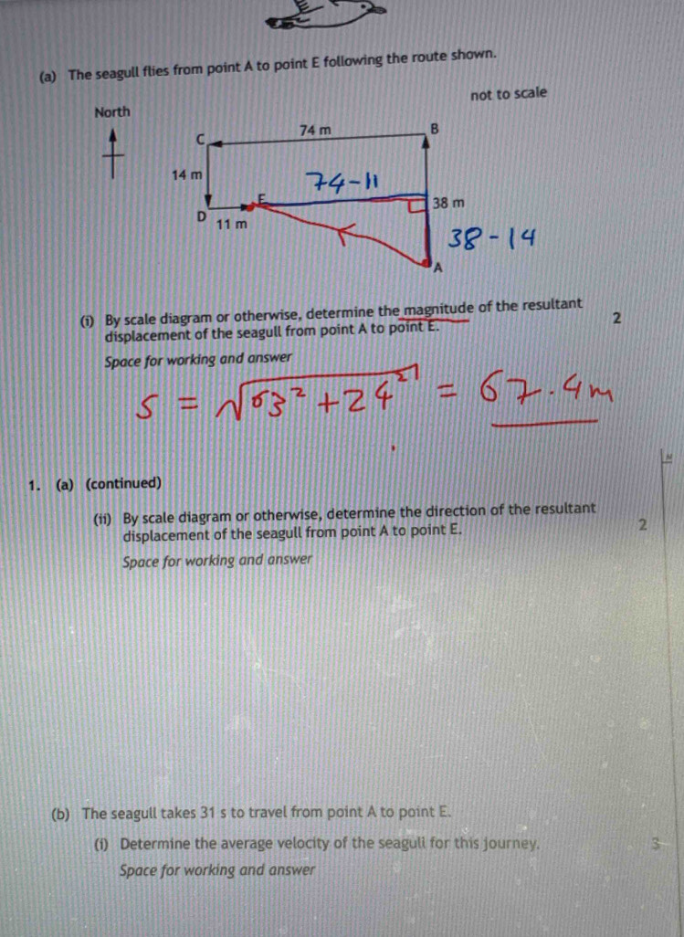 The seagull flies from point A to point E following the route shown. 
not to scale 
North 
(i) By scale diagram or otherwise, determine the magnitude of the resultant 
2 
displacement of the seagull from point A to point E. 
Space for working and answer 
1. (a) (continued) 
(ii) By scale diagram or otherwise, determine the direction of the resultant 
displacement of the seagull from point A to point E. 
2 
Space for working and answer 
(b) The seagull takes 31 s to travel from point A to point E. 
(i) Determine the average velocity of the seagull for this journey. 3 
Space for working and answer