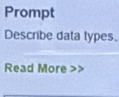 Prompt 
Describe data types. 
Read More