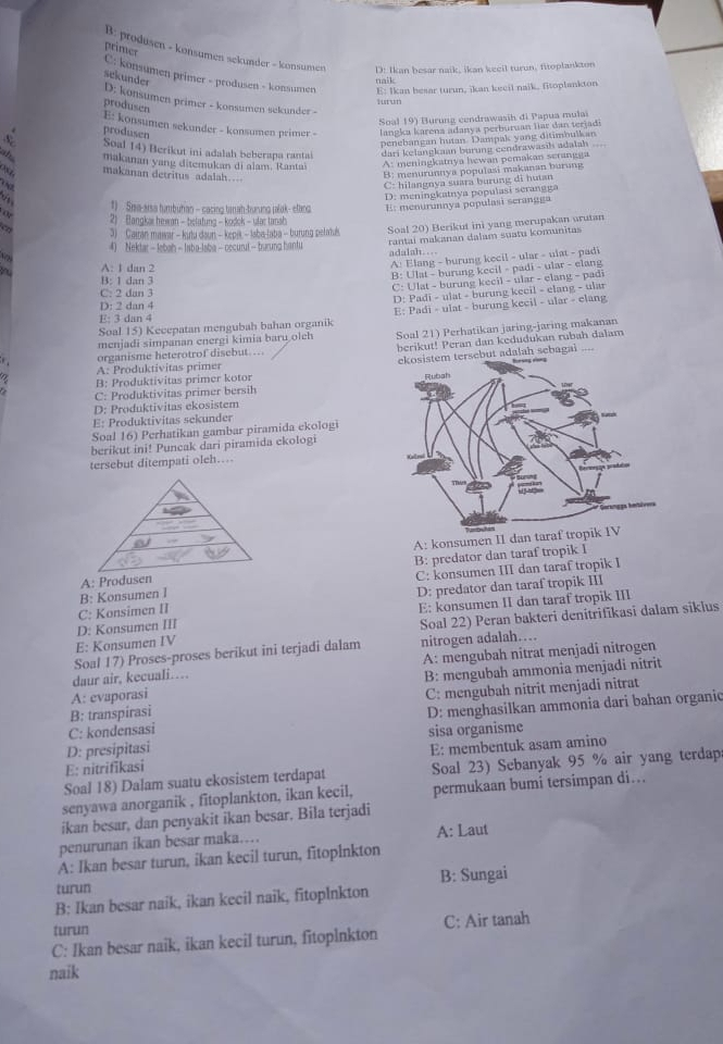 B: produsen - konsumen sekünder − konsumen D: Ikan besar naik, ikan keeil turon, fitoplankton
primer C: konsumen primer - produsen - konsumen
sekunder
naik
E: Ikan besar turun, ikan keeil naik, fitoplankton
D: konsumen primer - konsumen sekunder -
produsen
Soal 19) Burung cendrawasih đi Papua mulai
E: konsumen sekunder - konsumen primer -  langka karena adanya perburuan liar dan terjadi
produsen
penebangan hutan. Dampak yang ditimbulkan
v Soal 14) Berikut ini adalah beberapa rantai  d i    langkaan b urna cendrawasil a da lah 
makanan yang ditemukan di alam, Rantai A: meningkatnya hewan pemakan serangga
makanan detritus adalah…
B: menurunnya populasi makanan burung
T hd
C: hilangnya suara burung di hutan
D: meningkatnya populasi serangga
1) Siea-arsa tumbutan - cacing tamah-turung plak- etang E: menurunnya populasi serangga
2) Elangkai hewan - belatung - kodok - ulac tansh
3) Caitan mawar - kulu daun - kepi. ~ Jaba-laba - burung pelaus Soal 20) Berikut ini yang merupakan urutan
rantai makanan dalam suatu komunitas
4) Nektar - lebah - laba-laba - cccurul - burung hantu adalah….
A: 1 dan 2
A: Elang - burung kecil - ular - ulat - padi
B: Ulat - burung kecil - padi - ular - elang
B: 1 dan 3
C: Ulat - burung kecil - ular - elang - padi
C: 2 dan 3
D: Padi - ulat - burung keeil - elang - ular
D: 2 dan 4
Soal 15) Kecepatan mengubah bahan organik E: Padi - ulat - burung kecil - ular - elang
E: 3 dan 4
menjadi simpanan energi kimia baru olch Soal 21) Perhatikan jaring-jaring makanan
organisme heterotrof disebut…… berikut! Peran dan kedudukan rubah dalam
A: Produktivitas primer ebut adalah sebagai
B: Produktivitas primer kotor
C: Produktivitas primer bersih
D: Produktivitas ekosistem
E: Produktivitas sekunder
Soal 16) Perhatikan gambar piramida ekologi
berikut ini! Puncak dari piramida ckologi
tersebut ditempati oleh…
A: konsumen II dan tara
A: Produsen B: predator dan taraf tropik I
B: Konsumen I C: konsumen III dan taraf tropik I
C: Konsimen II D: predator dan taraf tropik III
D: Konsumen III E: konsumen II dan taraf tropik III
E: Konsumen IV Soal 22) Peran bakteri denitrifikasi dalam siklus
Soal 17) Proses-proses berikut ini terjadi dalam nitrogen adalah…
daur air, kecuali… A: mengubah nitrat menjadi nitrogen
A: evaporasi B: mengubah ammonia menjadi nitrit
B: transpirasi C: mengubah nitrit menjadi nitrat
C: kondensasi D: menghasilkan ammonia dari bahan organic
sisa organisme
D: presipitasi
E: nitrifikasi E: membentuk asam amino
Soal 18) Dalam suatu ekosistem terdapat Soal 23) Sebanyak 95 % air yang terdap
senyawa anorganik , fitoplankton, ikan kecil, permukaan bumi tersimpan di…
ikan besar, dan penyakit ikan besar. Bila terjadi
penurunan ikan besar maka… A: Laut
A: Ikan besar turun, ikan kecil turun, fitoplnkton
turun B: Sungai
B: Ikan besar naik, ikan kecil naik, fitoplnkton
turun
C: Ikan besar naik, ikan kecil turun, fitoplnkton C: Air tanah
naik