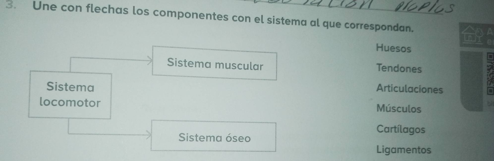 Une con flechas los componentes con el sistema al que correspondan.
Huesos
Sistema muscular Tendones
Sistema Articulaciones
locomotor Músculos
bi
Cartílagos
Sistema óseo
Ligamentos