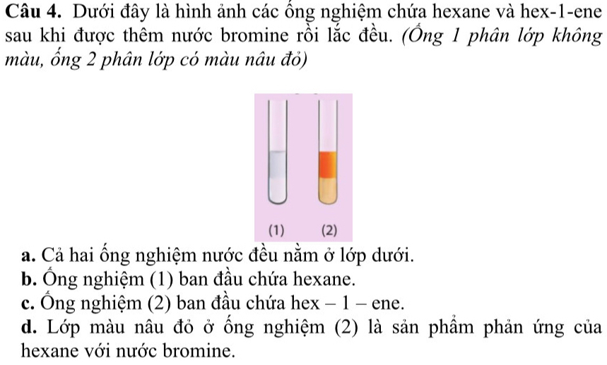 Dưới đây là hình ảnh các ồng nghiệm chứa hexane và hex- 1 -ene
sau khi được thêm nước bromine rồi lắc đều. (Ông 1 phân lớp không
màu, ổng 2 phân lớp có màu nâu đỏ)
a. Cả hai ổng nghiệm nước đều nằm ở lớp dưới.
b. Ông nghiệm (1) ban đầu chứa hexane.
c. Ông nghiệm (2) ban đầu chứa hex − 1 - ene.
d. Lớp màu nâu đỏ ở ống nghiệm (2) là sản phầm phản ứng của
hexane với nước bromine.