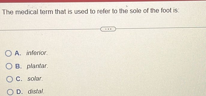 The medical term that is used to refer to the sole of the foot is:
A. inferior.
B. plantar.
C. solar.
D. distal.