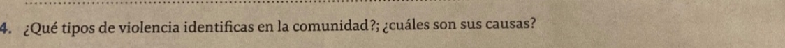 ¿Qué tipos de violencia identificas en la comunidad?; ¿cuáles son sus causas?