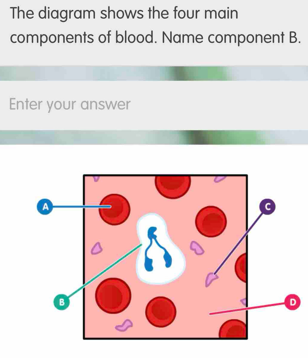 Solved: The diagram shows the four main components of blood. Name ...