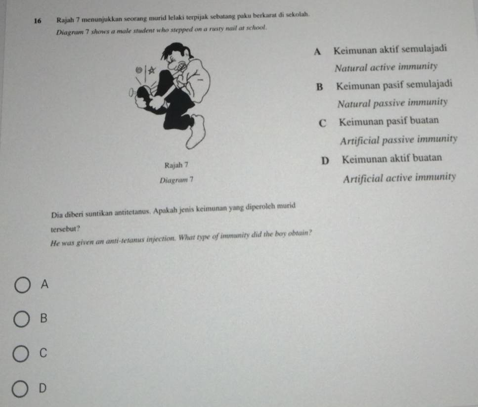 Rajah 7 menunjukkan seorang murid lelaki terpijak sebatang paku berkarat di sekolah.
Diagram 7 shows a male student who stepped on a rusty nail at school.
A Keimunan aktif semulajadi
Natural active immunity
B Keimunan pasif semulajadi
Natural passive immunity
C Keimunan pasif buatan
Artificial passive immunity
D Keimunan aktif buatan
Artificial active immunity
Dia diberi suntikan antitetanus. Apakah jenis keimunan yang diperoleh murid
tersebut?
He was given an anti-tetanus injection. What type of immunity did the boy obtain?
A
B
C
D