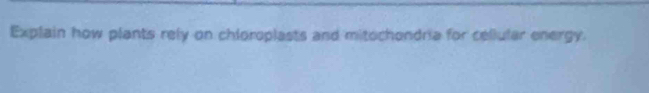 Explain how plants rely on chloroplasts and mitochondria for cellular energy.