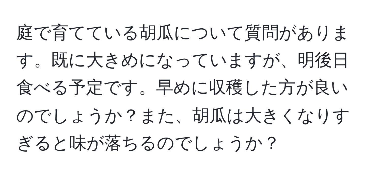 庭で育てている胡瓜について質問があります。既に大きめになっていますが、明後日食べる予定です。早めに収穫した方が良いのでしょうか？また、胡瓜は大きくなりすぎると味が落ちるのでしょうか？