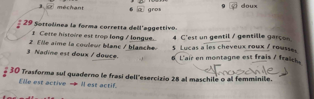 9 
3 méchant 6 αgros doux 
29 Sottolinea la forma corretta dell'aggettivo. 
1 Cette histoire est trop long / longue. 4 C'est un gentil / gentille garçon. 
2 Elle aime la couleur blanc / blanche. 5 Lucas a les cheveux roux / rousses 
3 Nadine est doux / douce. 6 L'air en montagne est frais / fraîch. 
30 Trasforma sul quaderno le frasi dell’esercizio 28 al maschile o al femminile. 
Elle est active → Il est actif.