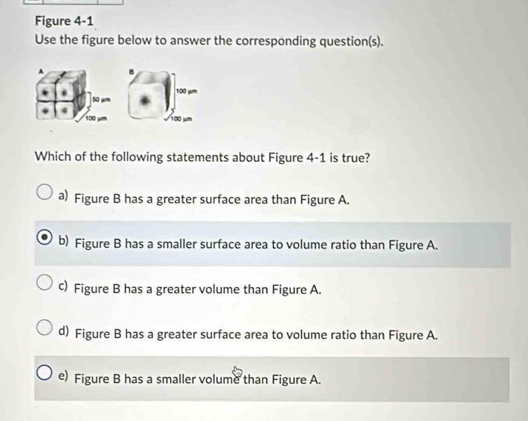 Figure 4-1
Use the figure below to answer the corresponding question(s).
B
100 jum
100 jum
Which of the following statements about Figure 4-1 is true?
a) Figure B has a greater surface area than Figure A.
b) Figure B has a smaller surface area to volume ratio than Figure A.
c) Figure B has a greater volume than Figure A.
d) Figure B has a greater surface area to volume ratio than Figure A.
e) Figure B has a smaller volume than Figure A.