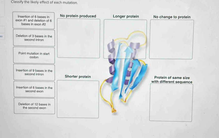 Solved: Classify the likely effect of each mutation. Insertion of 6 ...