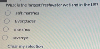 What is the largest freshwater wetland in the US?
salt marshes
Everglades
marshes
swamps
Clear my selection