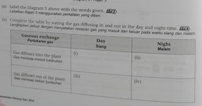 Label the Diagram 5 above with the words given. 0R2 
Labelkan Rajah 5 menggunakan perkataan yang diberi. 
(b) Complete the table by stating the gas diffusing in and out in the day and night time 
Lengkapkan jadual dengan menya 
ene