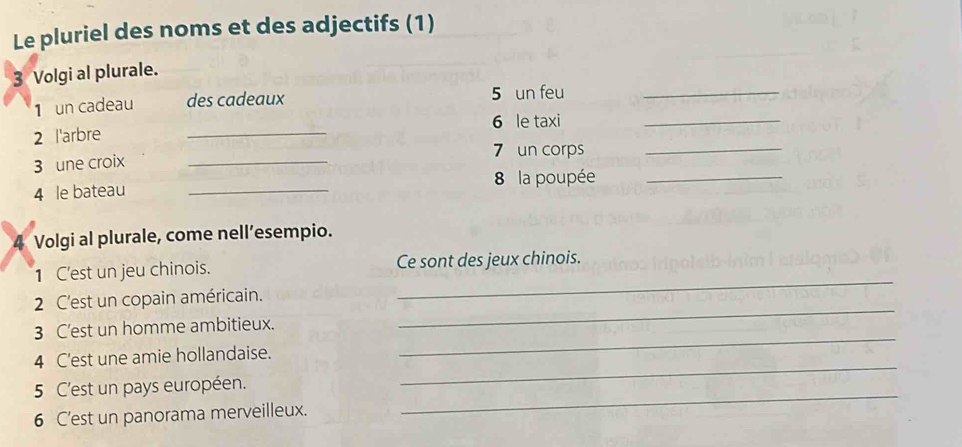 Le pluriel des noms et des adjectifs (1) 
3 Volgi al plurale. 
_ 
1 un cadeau des cadeaux 5 un feu_ 
6 le taxi 
2 l'arbre 
_ 
3 une croix _7 un corps_ 
8 la poupée_ 
4 le bateau_ 
a Volgi al plurale, come nell’esempio. 
_ 
1 C'est un jeu chinois. Ce sont des jeux chinois. 
2 C'est un copain américain. 
3 C'est un homme ambitieux. 
_ 
_ 
4 C'est une amie hollandaise. 
_ 
_ 
5 C'est un pays européen. 
6 C'est un panorama merveilleux.