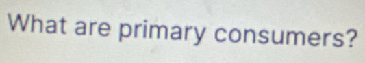 What are primary consumers?