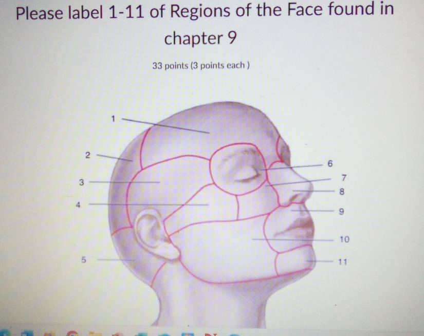 Please label 1-11 of Regions of the Face found in 
chapter 9 
33 points (3 points each )