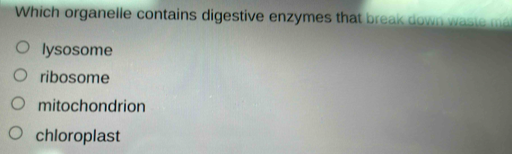 Which organelle contains digestive enzymes that break down w aste m
lysosome
ribosome
mitochondrion
chloroplast