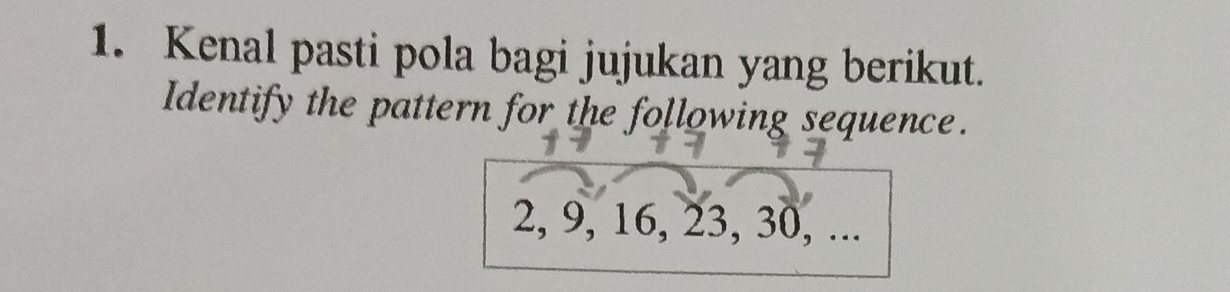 Kenal pasti pola bagi jujukan yang berikut. 
Identify the pattern for the following sequence.
2, 9, 16, 23, 30, ...