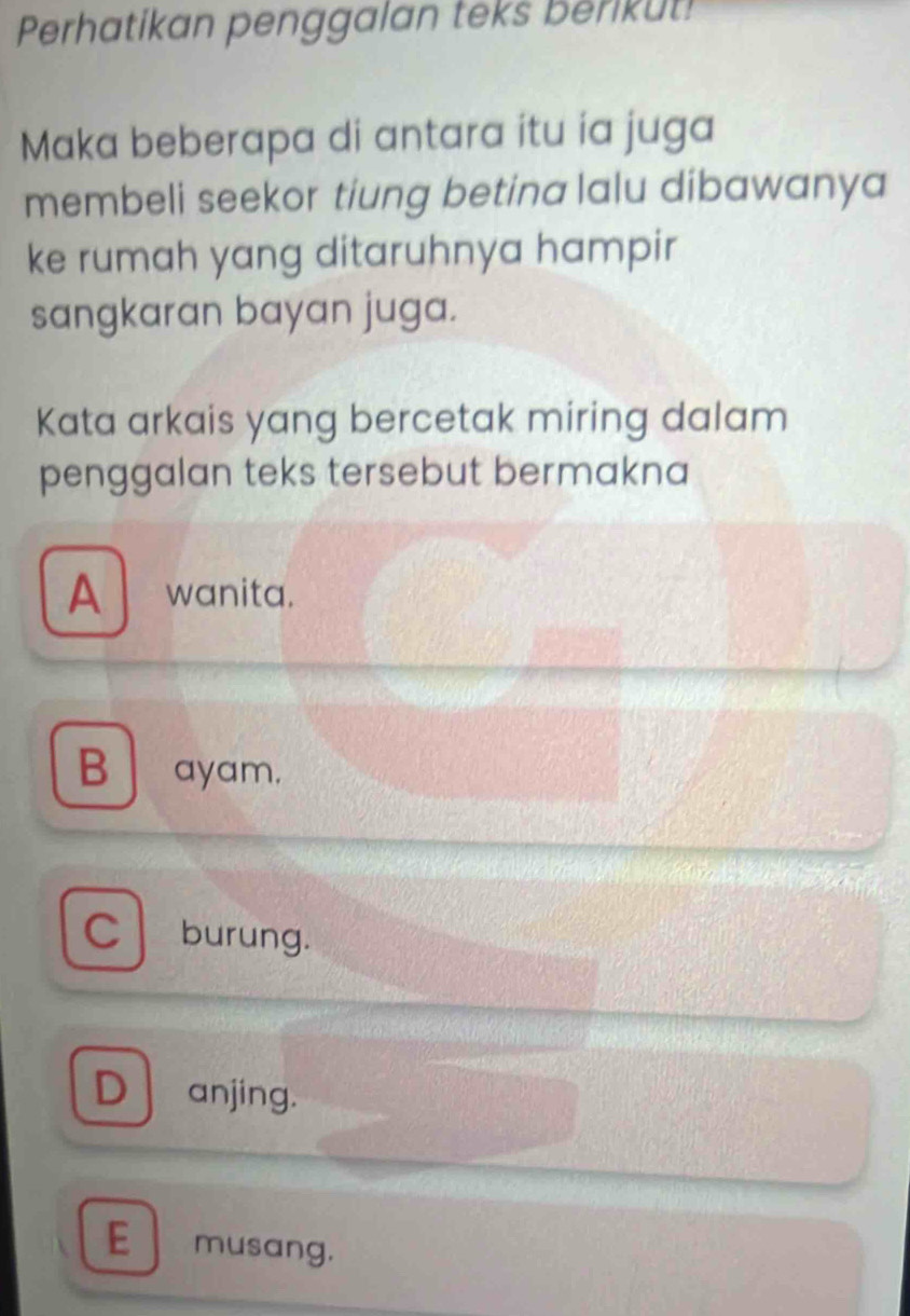 Perhatikan penggalan teks berkut!
Maka beberapa di antara itu ía juga
membeli seekor tiung betina lalu dibawanya
ke rumah yang ditaruhnya hampir 
sangkaran bayan juga.
Kata arkais yang bercetak miring dalam
penggalan teks tersebut bermakna
A wanita.
B ayam.
C burung.
D anjing.
E musang.