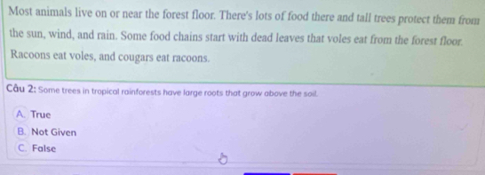 Most animals live on or near the forest floor. There's lots of food there and tall trees protect them from
the sun, wind, and rain. Some food chains start with dead leaves that voles eat from the forest floor.
Racoons eat voles, and cougars eat racoons.
Câu 2: Some trees in tropical rainforests have large roots that grow above the soil.
A. True
B. Not Given
C. False