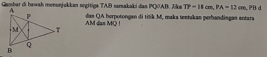 Gambar di bawah menunjukkan segitiga TAB samakaki dan PQ//AB. Jika TP=18cm, PA=12cm , PB d 
dan QA berpotongan di titik M, maka tentukan perbandingan antara
AM dan MQ!