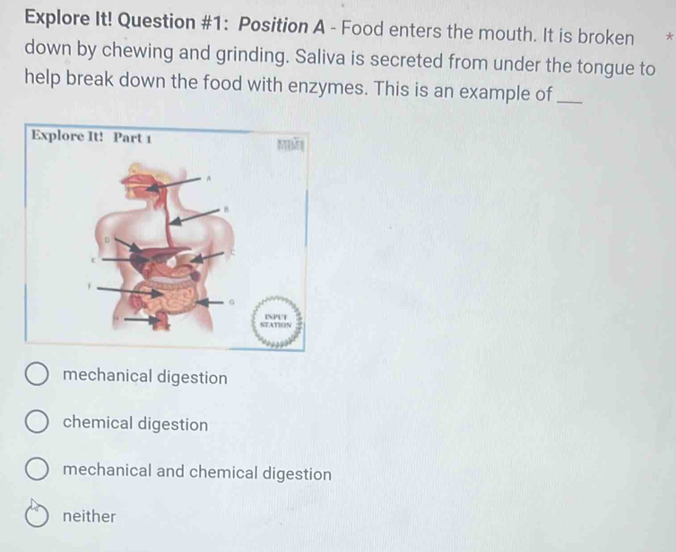 Explore It! Question #1: Position A - Food enters the mouth. It is broken *
down by chewing and grinding. Saliva is secreted from under the tongue to
help break down the food with enzymes. This is an example of_
mechanical digestion
chemical digestion
mechanical and chemical digestion
neither