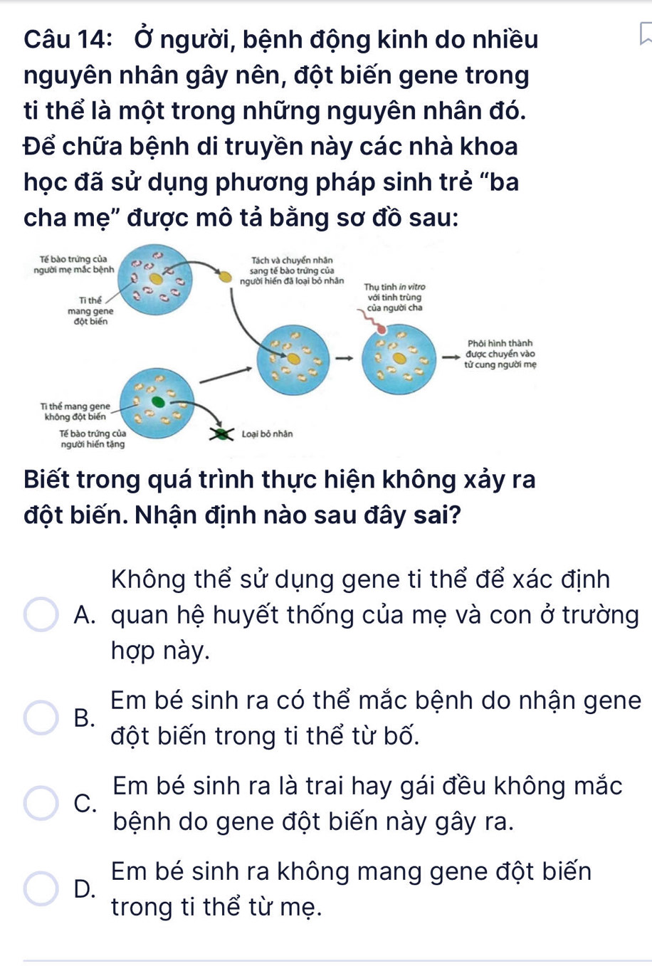 Ở người, bệnh động kinh do nhiều
nguyên nhân gây nên, đột biến gene trong
ti thể là một trong những nguyên nhân đó.
Để chữa bệnh di truyền này các nhà khoa
học đã sử dụng phương pháp sinh trẻ “ba
cha mẹ' được mô tả bằng sơ đồ sau:
Biết trong quá trình thực hiện không xảy ra
đột biến. Nhận định nào sau đây sai?
Không thể sử dụng gene ti thể để xác định
A. quan hệ huyết thống của mẹ và con ở trường
hợp này.
Em bé sinh ra có thể mắc bệnh do nhận gene
B.
đột biến trong ti thể từ bố.
Em bé sinh ra là trai hay gái đều không mắc
C.
bệnh do gene đột biến này gây ra.
Em bé sinh ra không mang gene đột biến
D.
trong ti thể từ mẹ.